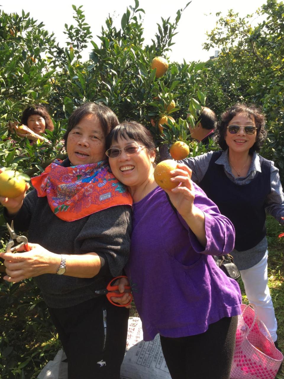 Fanny Manor B&B Emei Esterno foto